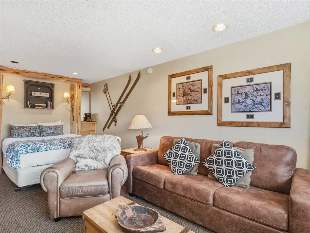 535 S Park Avenue 214, Breckenridge