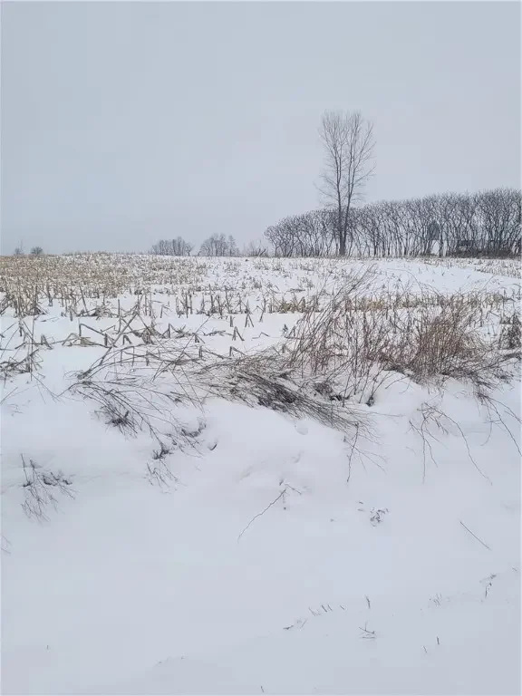 County Hwy B Lot 3, Neillsville