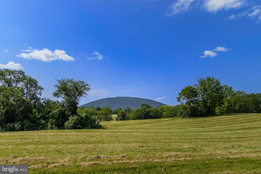 Clarendon Farm Dr, Marshall