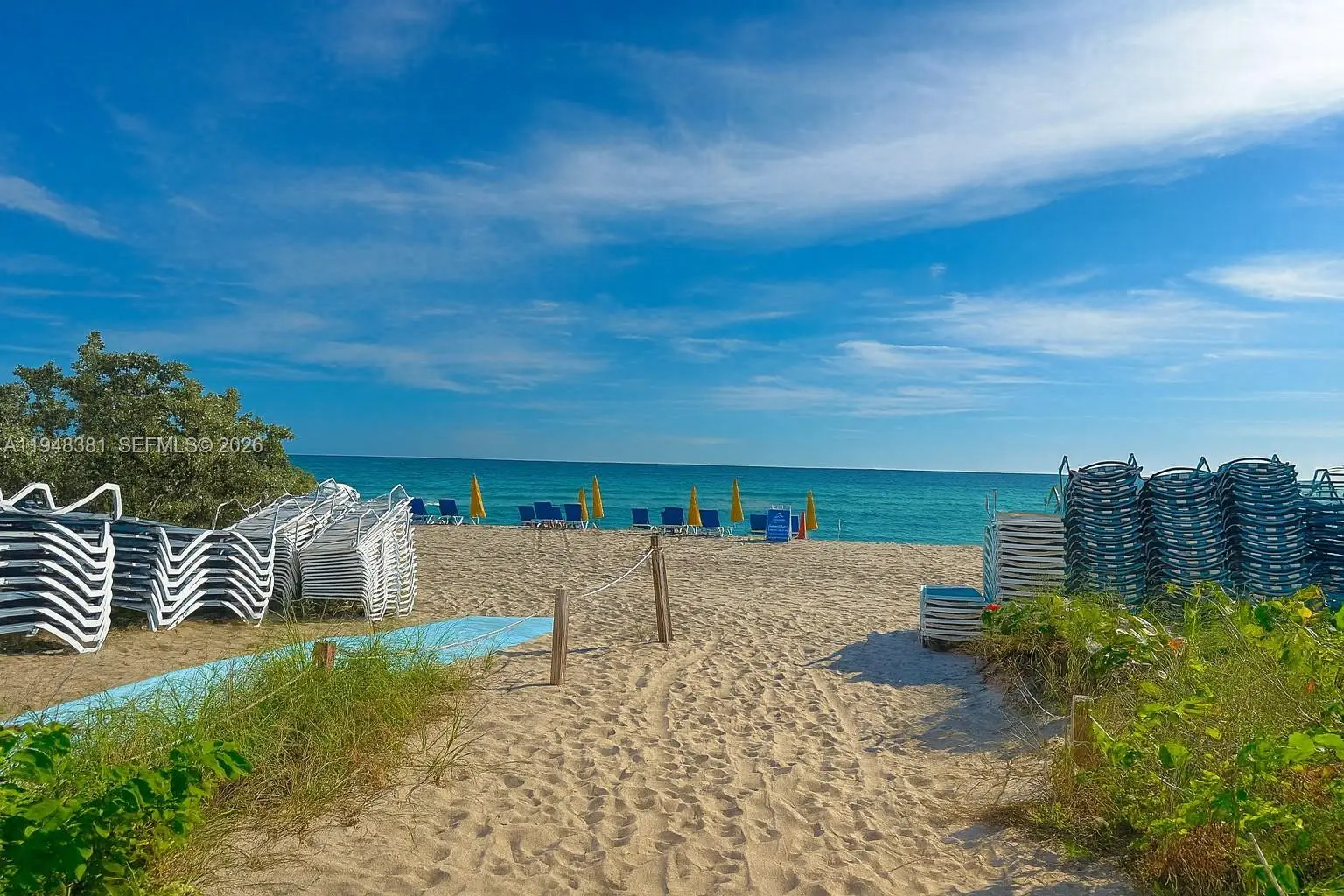 Photo of Listing #A11948381