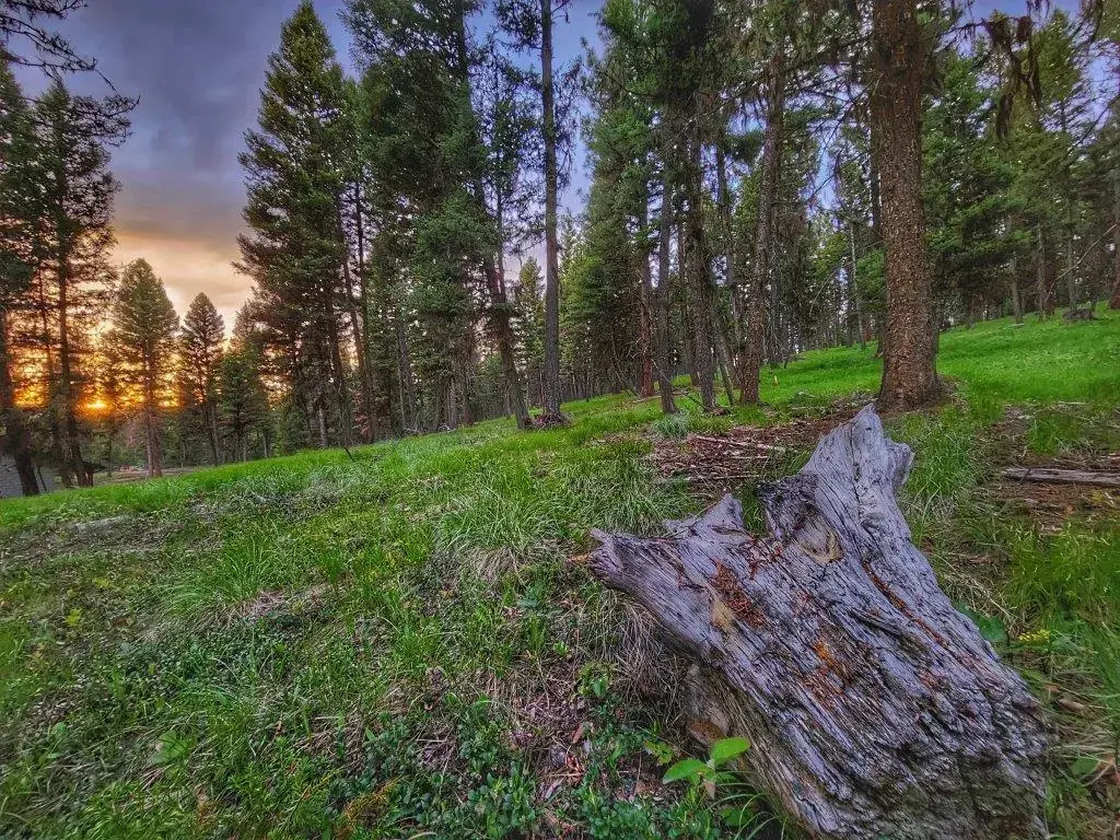 289 Seclusion Point, Seeley Lake
