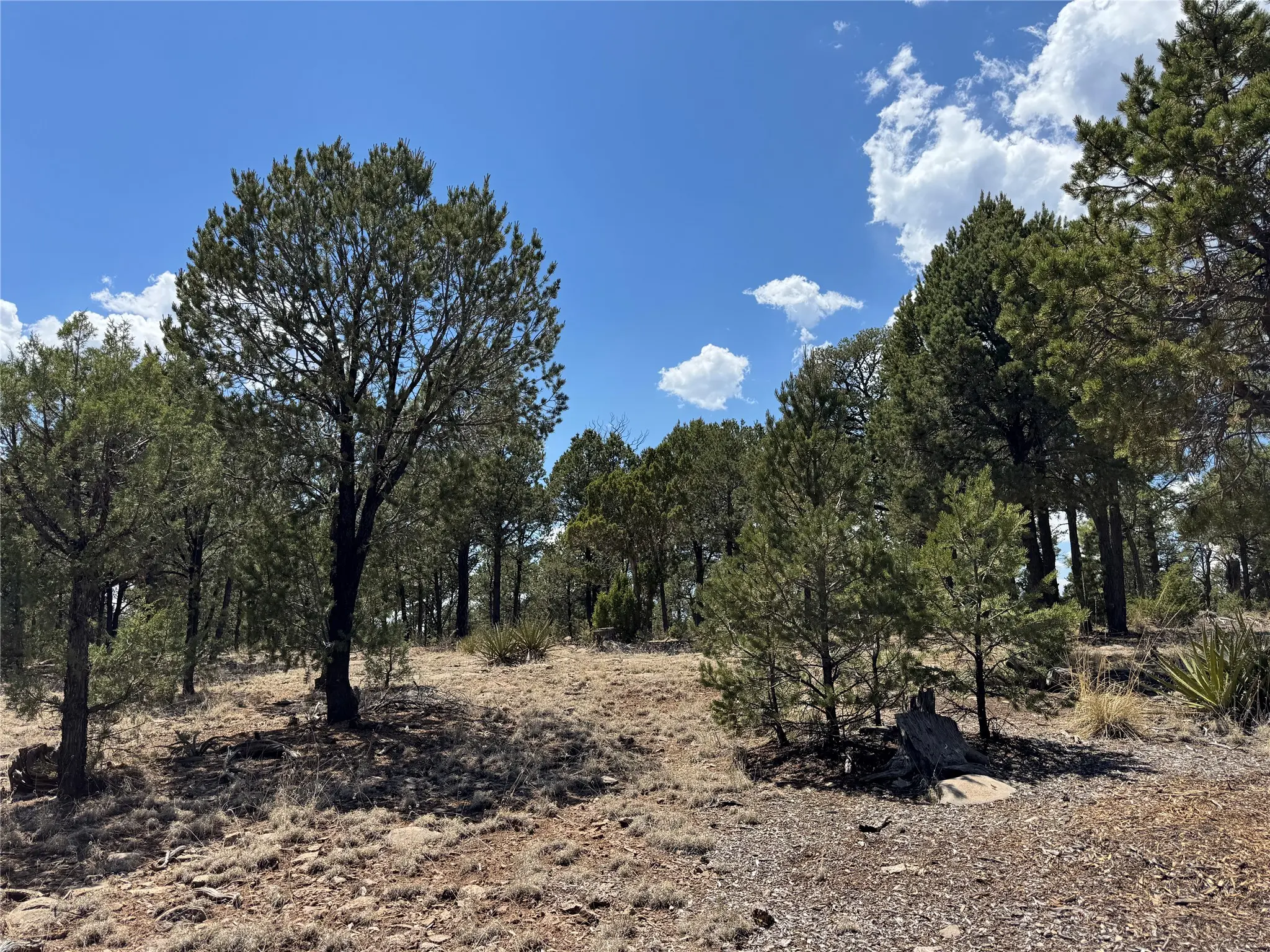 7 Dancing Hawk Drive, Pecos