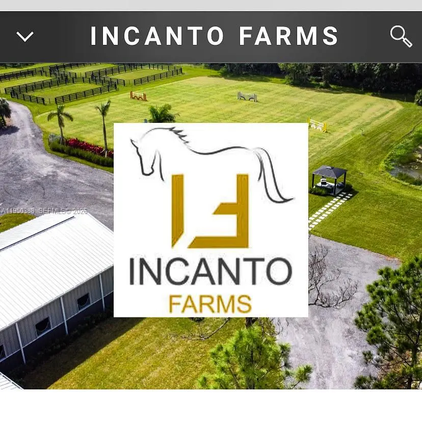 Photo of Listing #A11950388