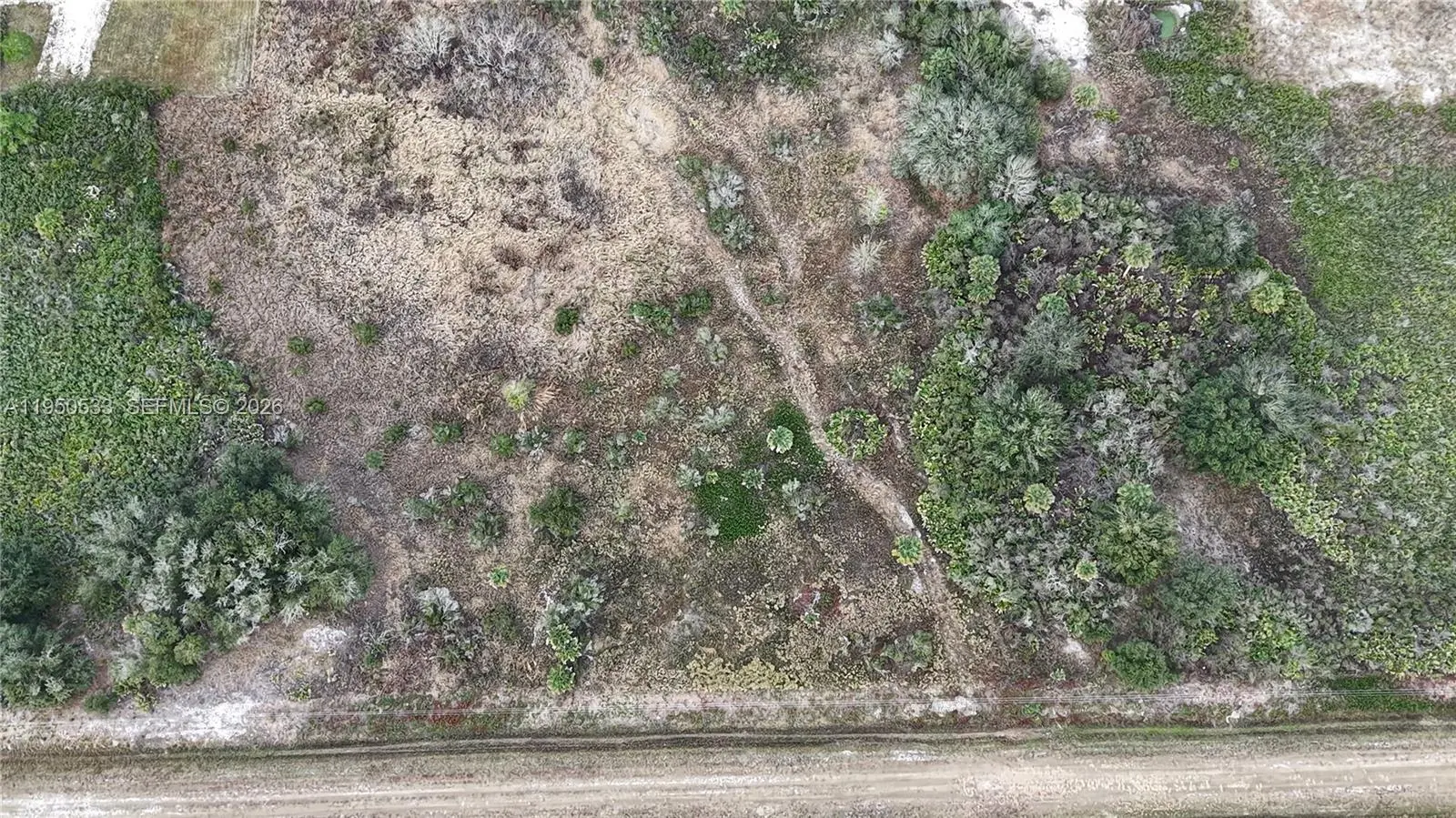 Photo of Listing #A11950533