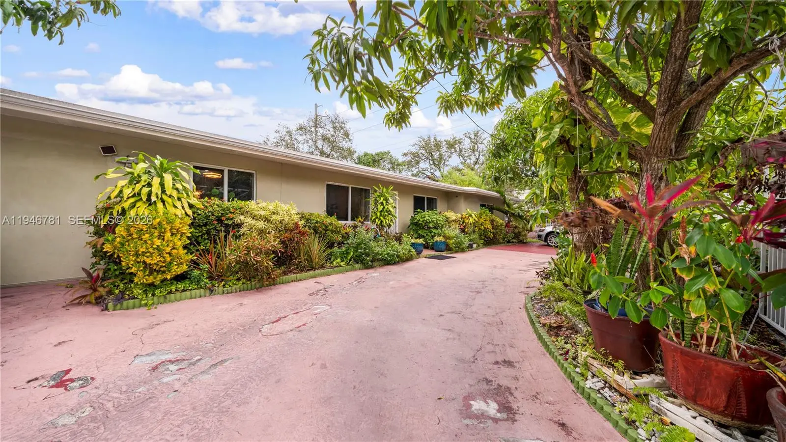 Photo of Listing #A11946781