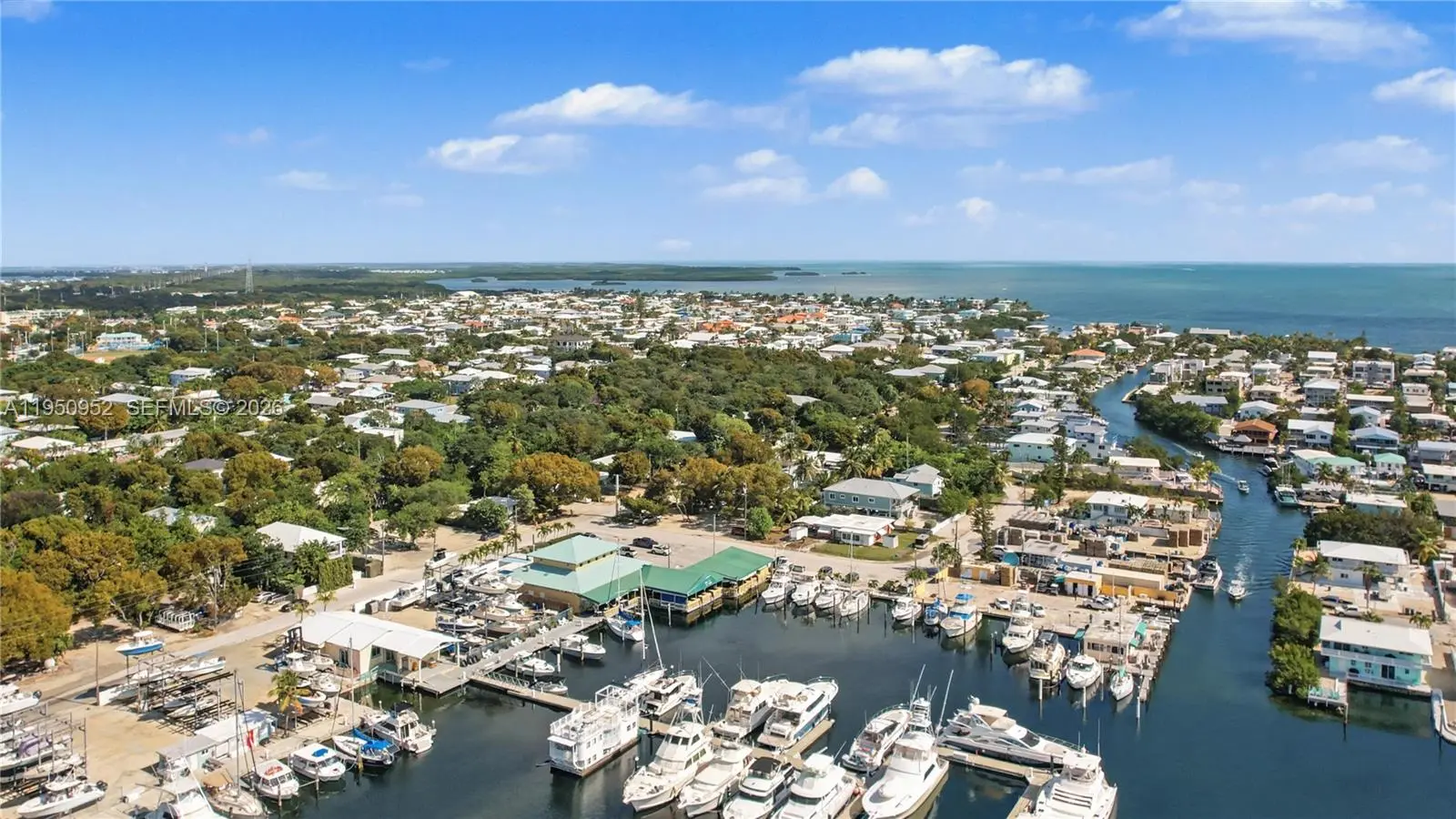 Photo of Listing #A11950952