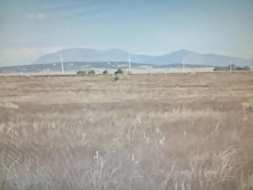 Antelope Springs, Estancia
