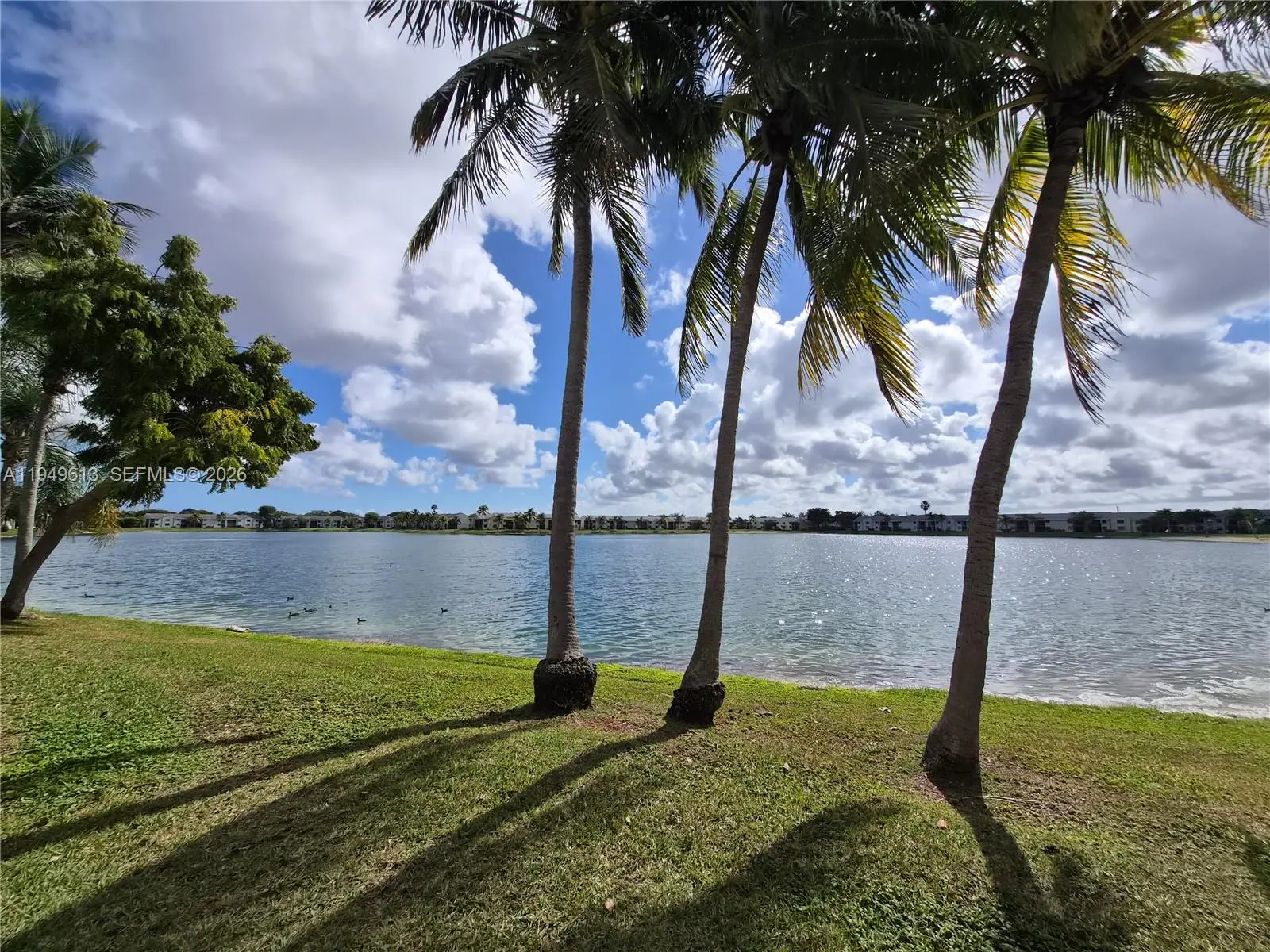 Photo of Listing #A11949613