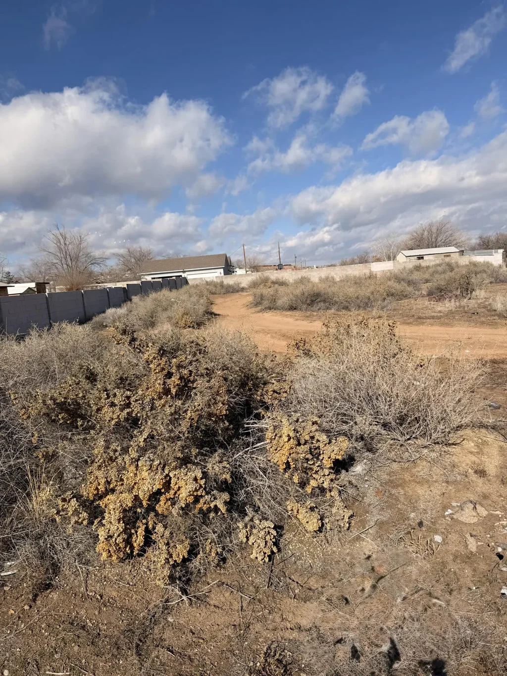 2513 Amalia Road Sw, Albuquerque