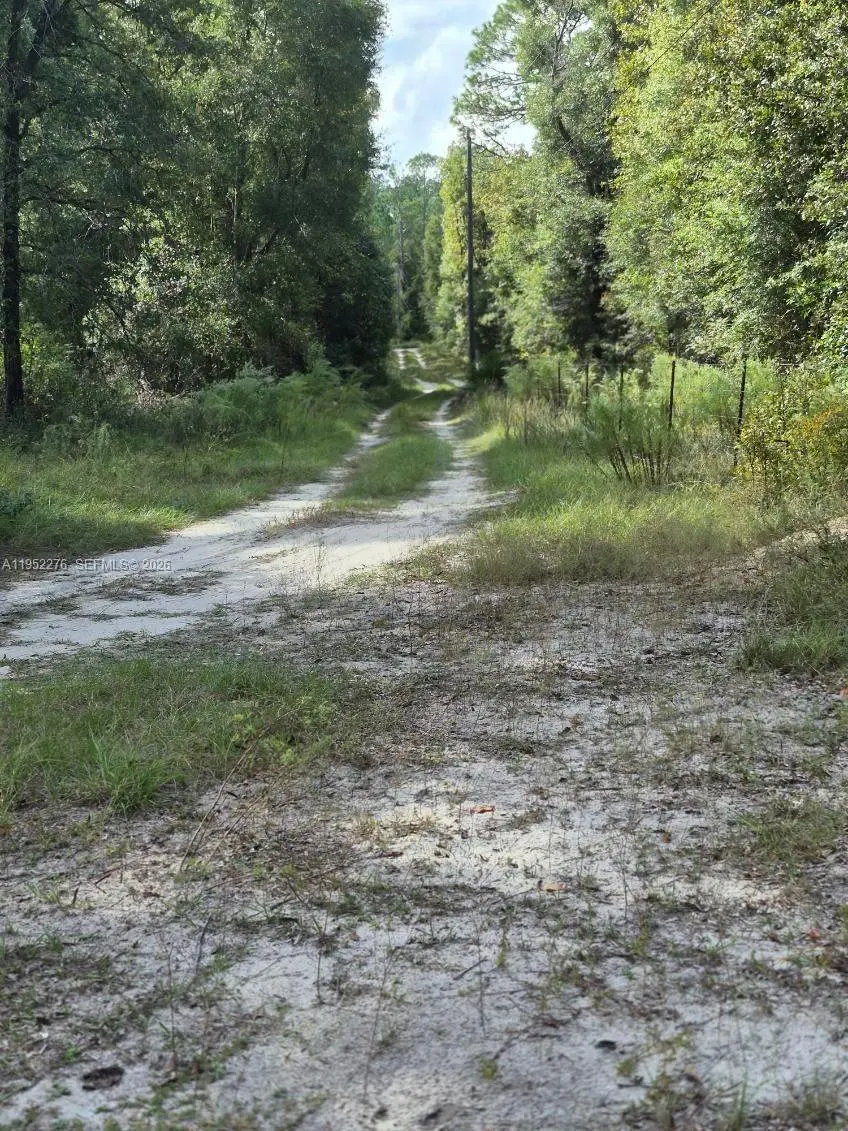 Photo of Listing #A11952276