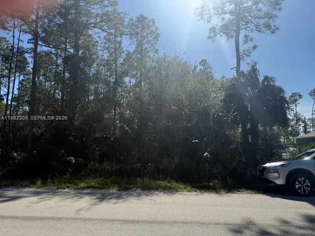 Photo of Listing #A11952309