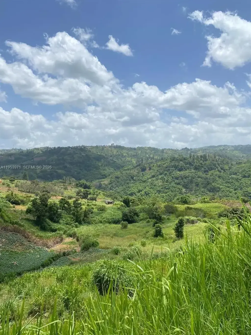 1 Colleyville, Manchester, Jamaica, Manchester