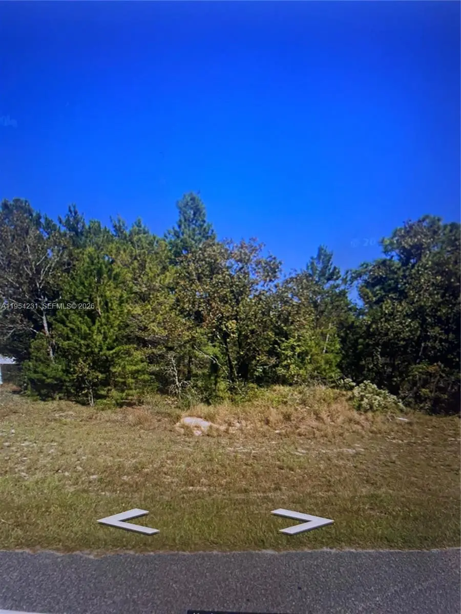 Photo of Listing #A11954231