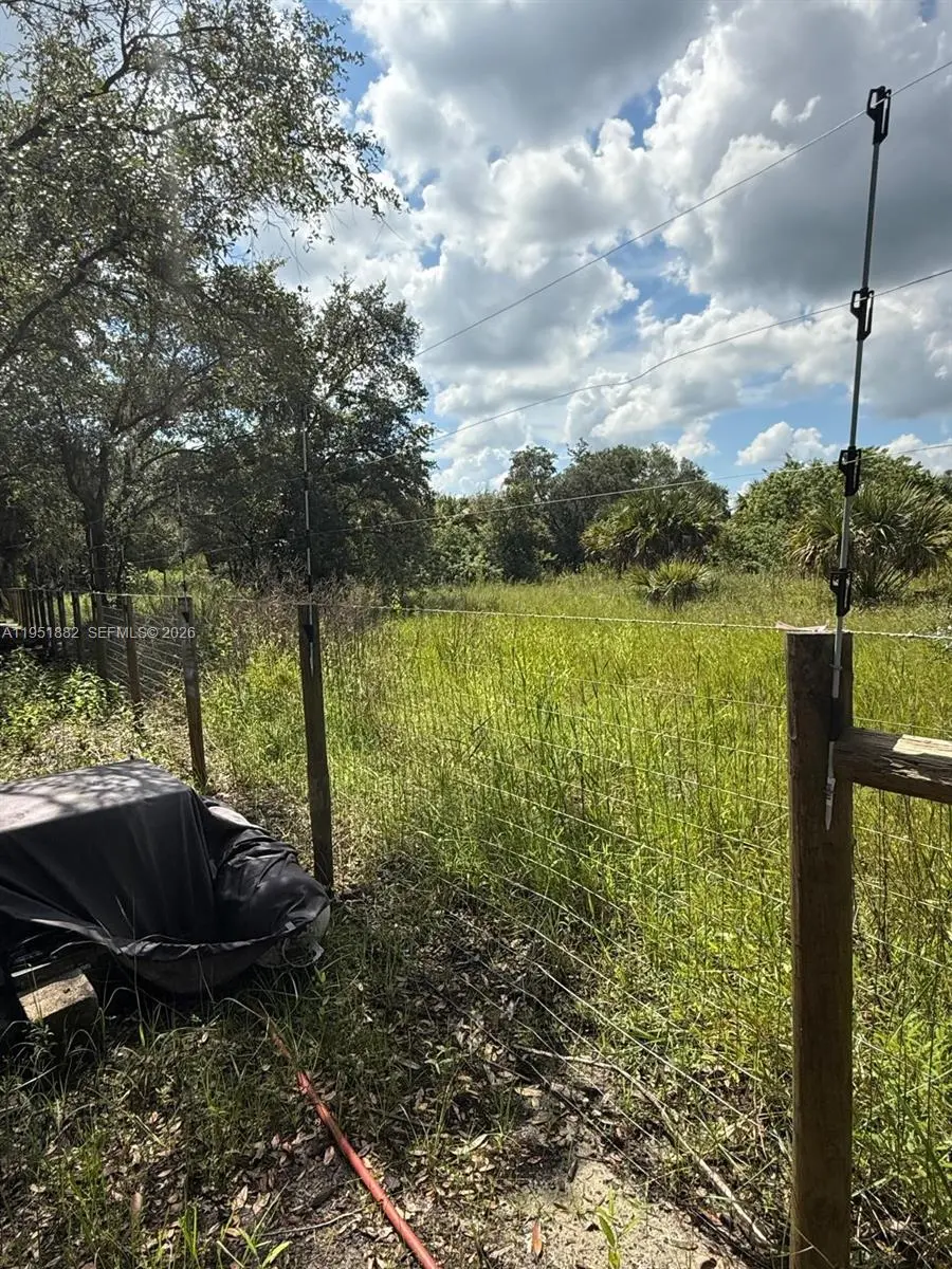 Photo of Listing #A11951882