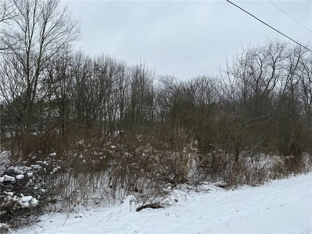 Kutenai Trail, Jackson
