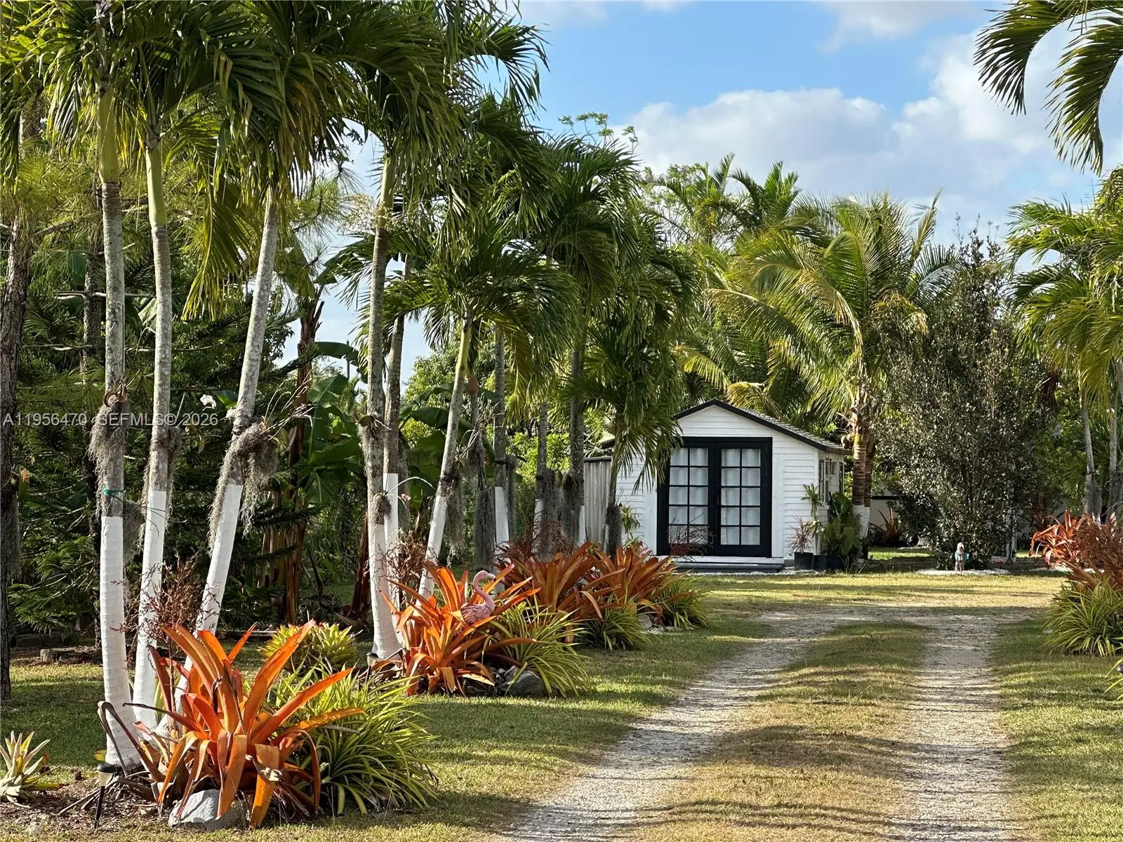 Photo of Listing #A11956470