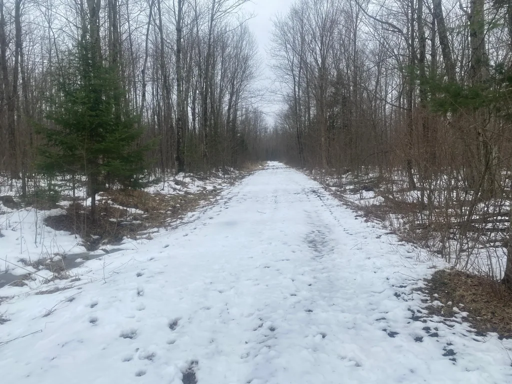 Near Spring Brook Ave, Merrill