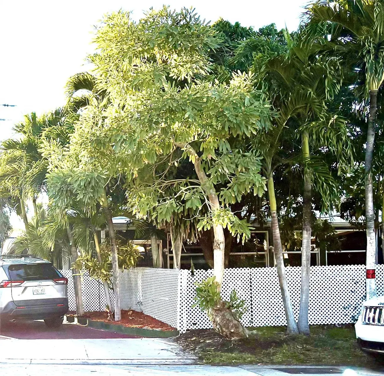 Photo of Listing #A11956156