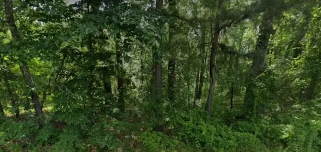 Lot 009 N Norman Street, Pine Bluff