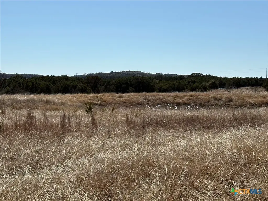 Monarch Loop (shin Oak), Lampasas