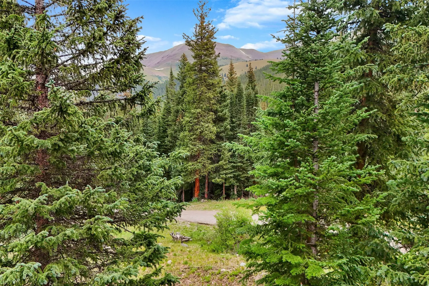 0057 County Road 675, Breckenridge