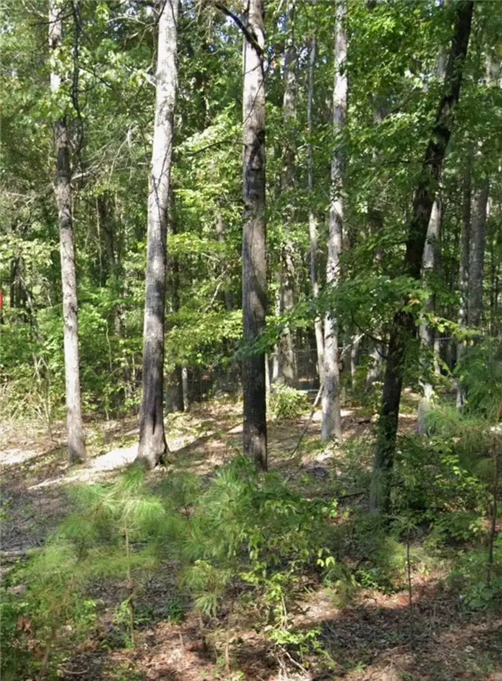 Lot 011 W Jones Avenue, Pine Bluff