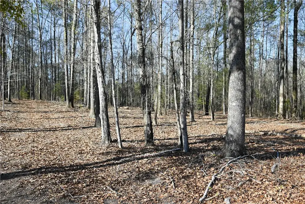 N/A, Auburn