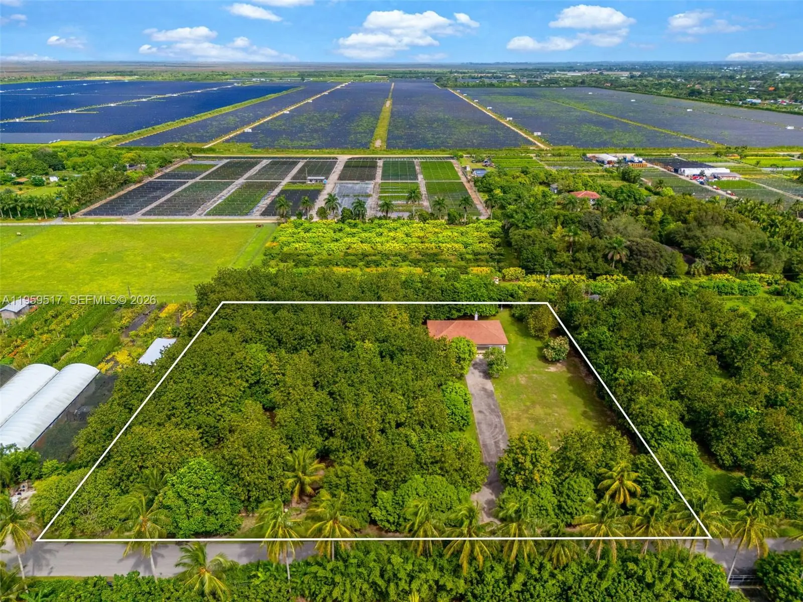 Photo of Listing #A11959517