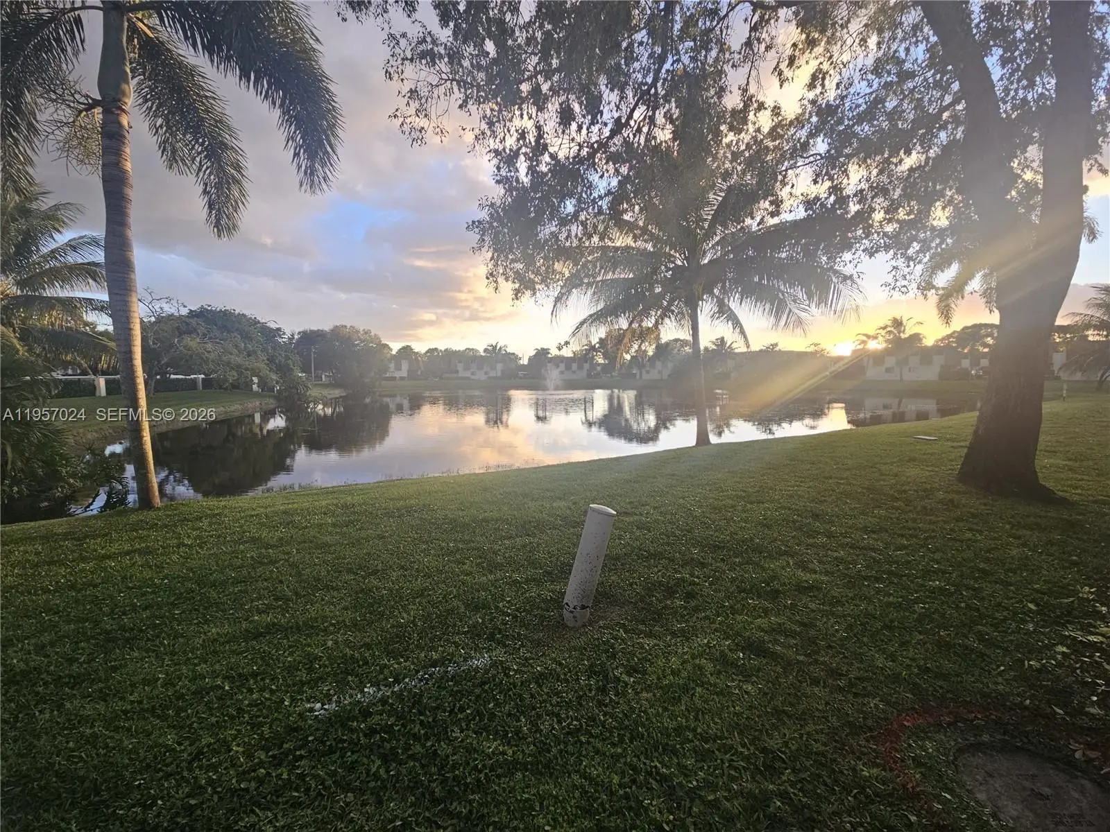 Photo of Listing #A11957024