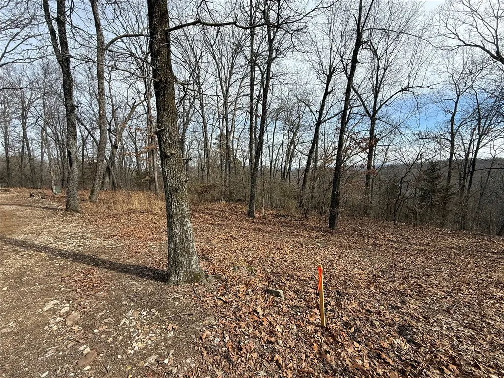 Tract 4 Cardinal Ridge Road, Eureka Springs