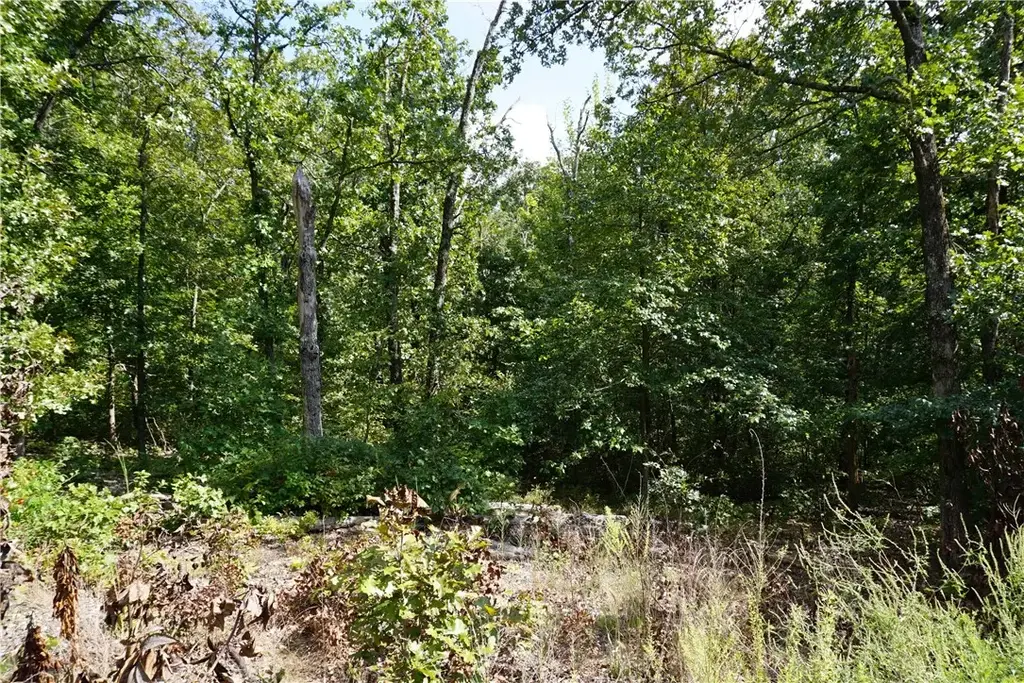 York Drive, Bella Vista