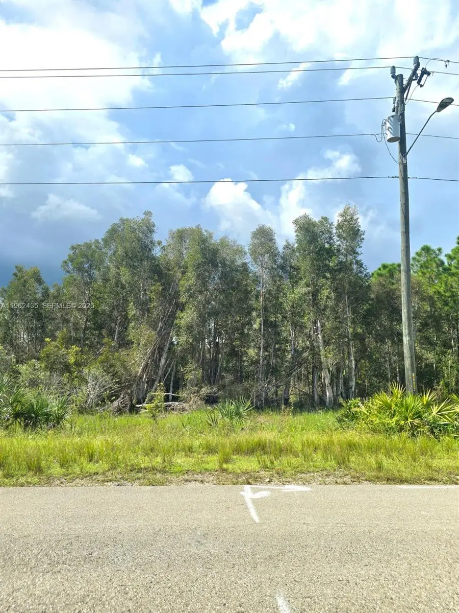 Photo of Listing #A11962435