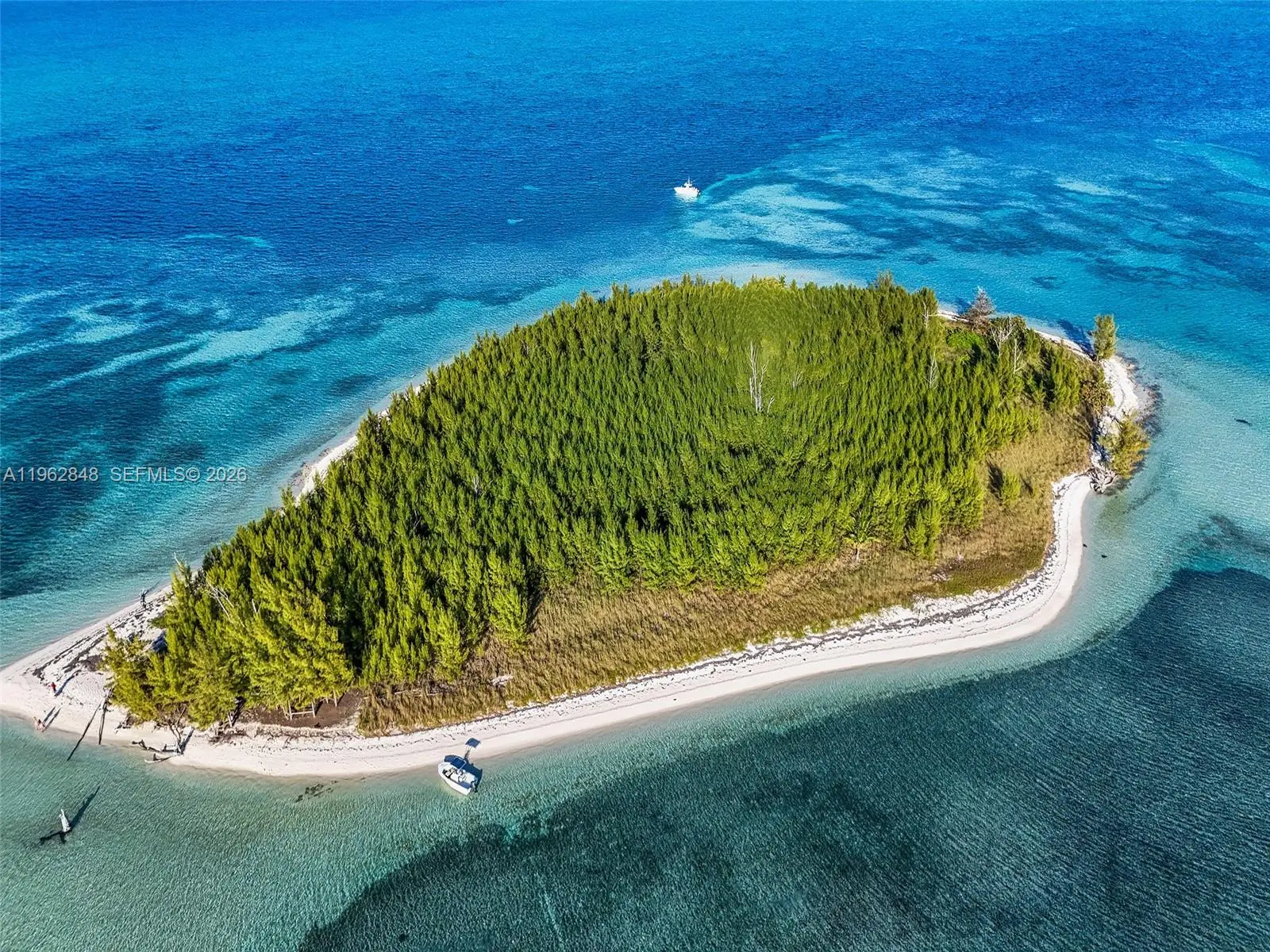 2 of 10 - Sandy Cay Sandy Cay Bahamas, , 