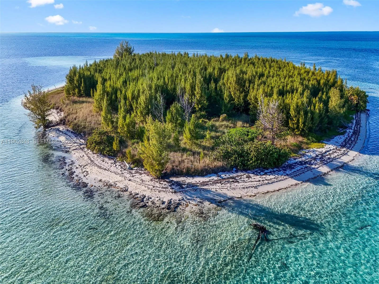 5 of 10 - Sandy Cay Sandy Cay Bahamas, , 
