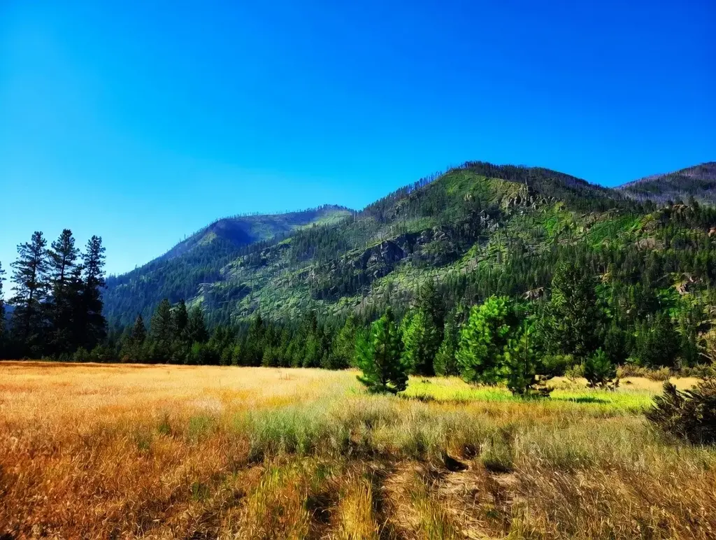 Lot 4 Harbine Ranch Road, Plains