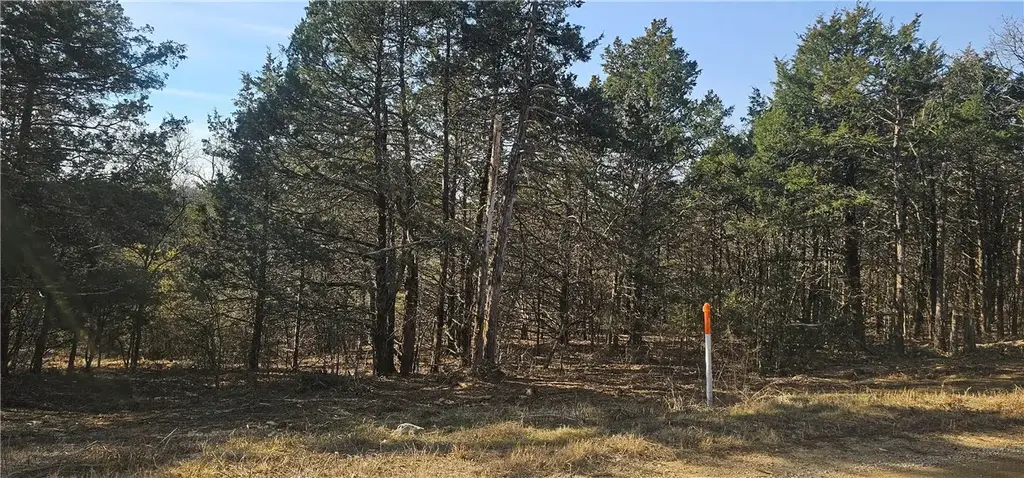 E Mockingbird Trail, Diamond City