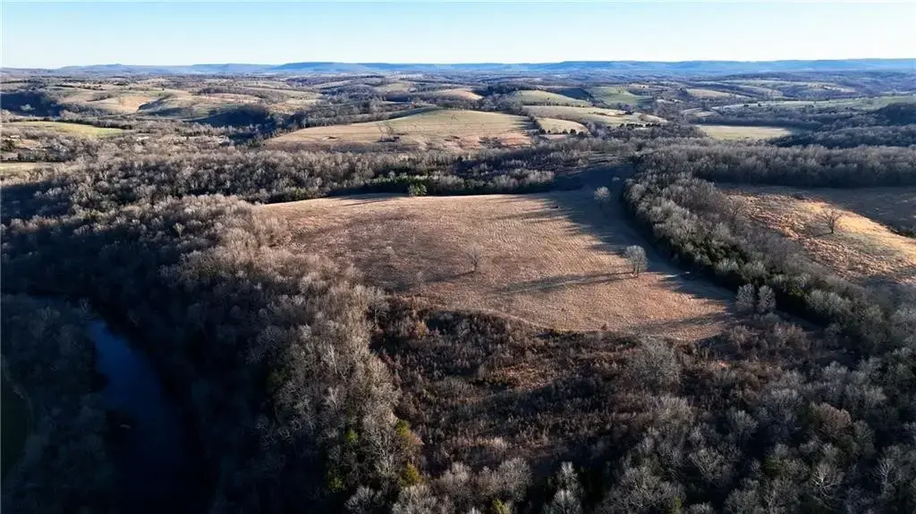 Tbd Cr 8141, Green Forest