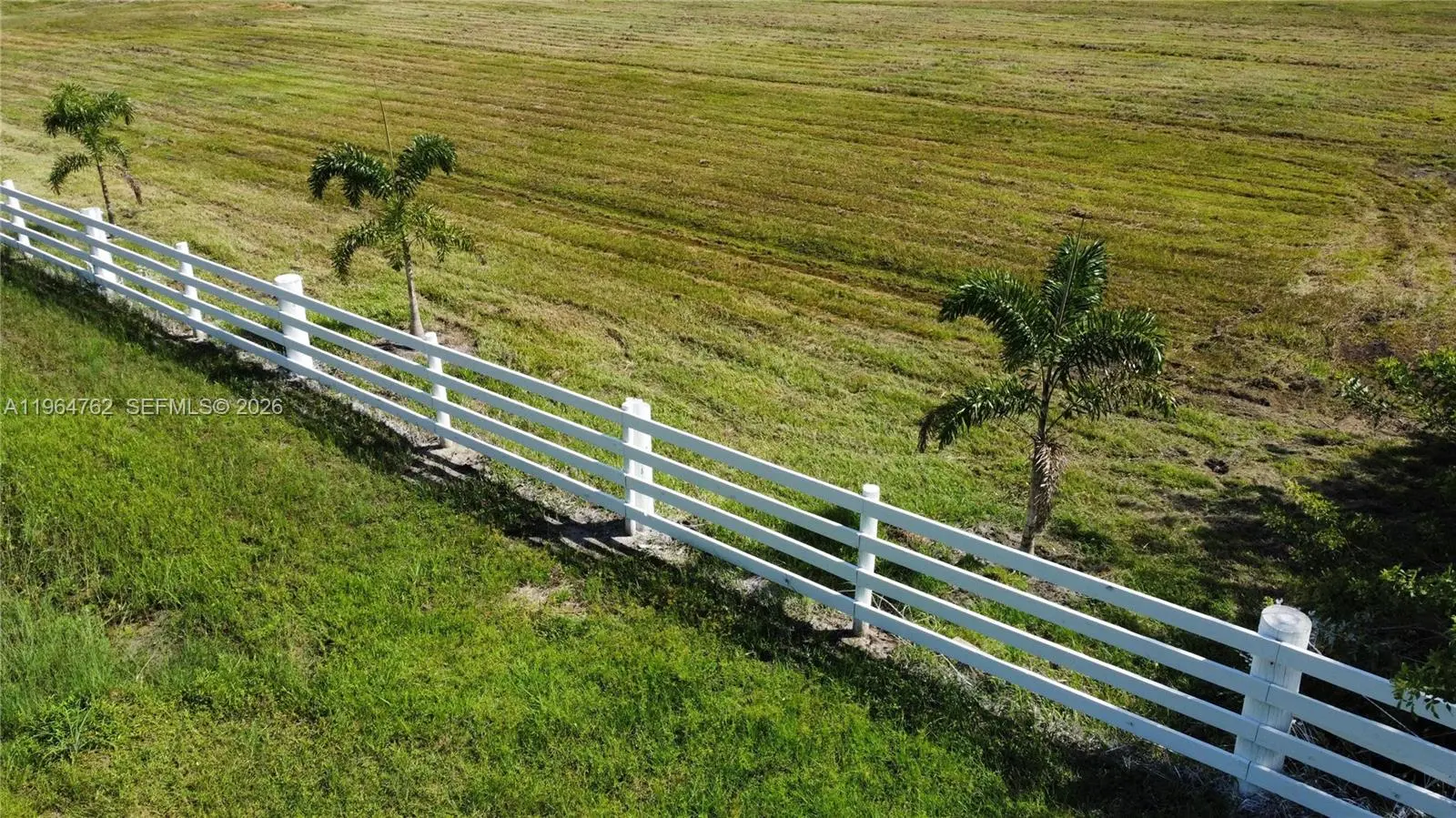 Photo of Listing #A11964762