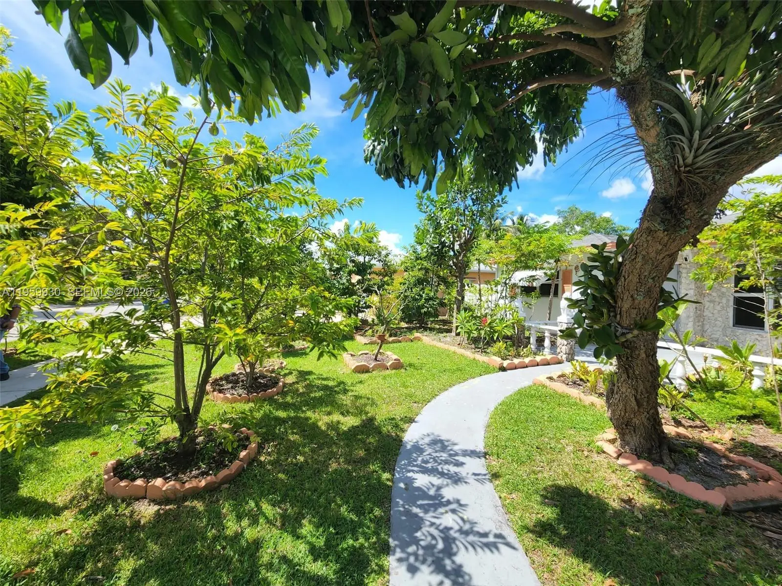 Photo of Listing #A11959930