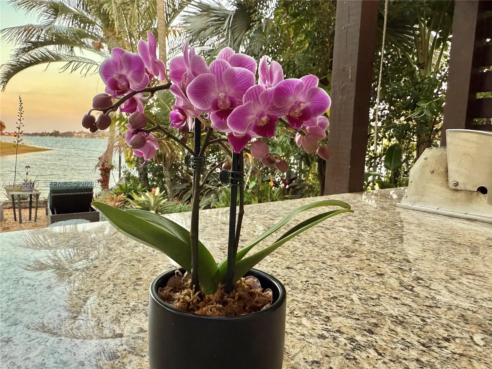 Photo of Listing #A11965579