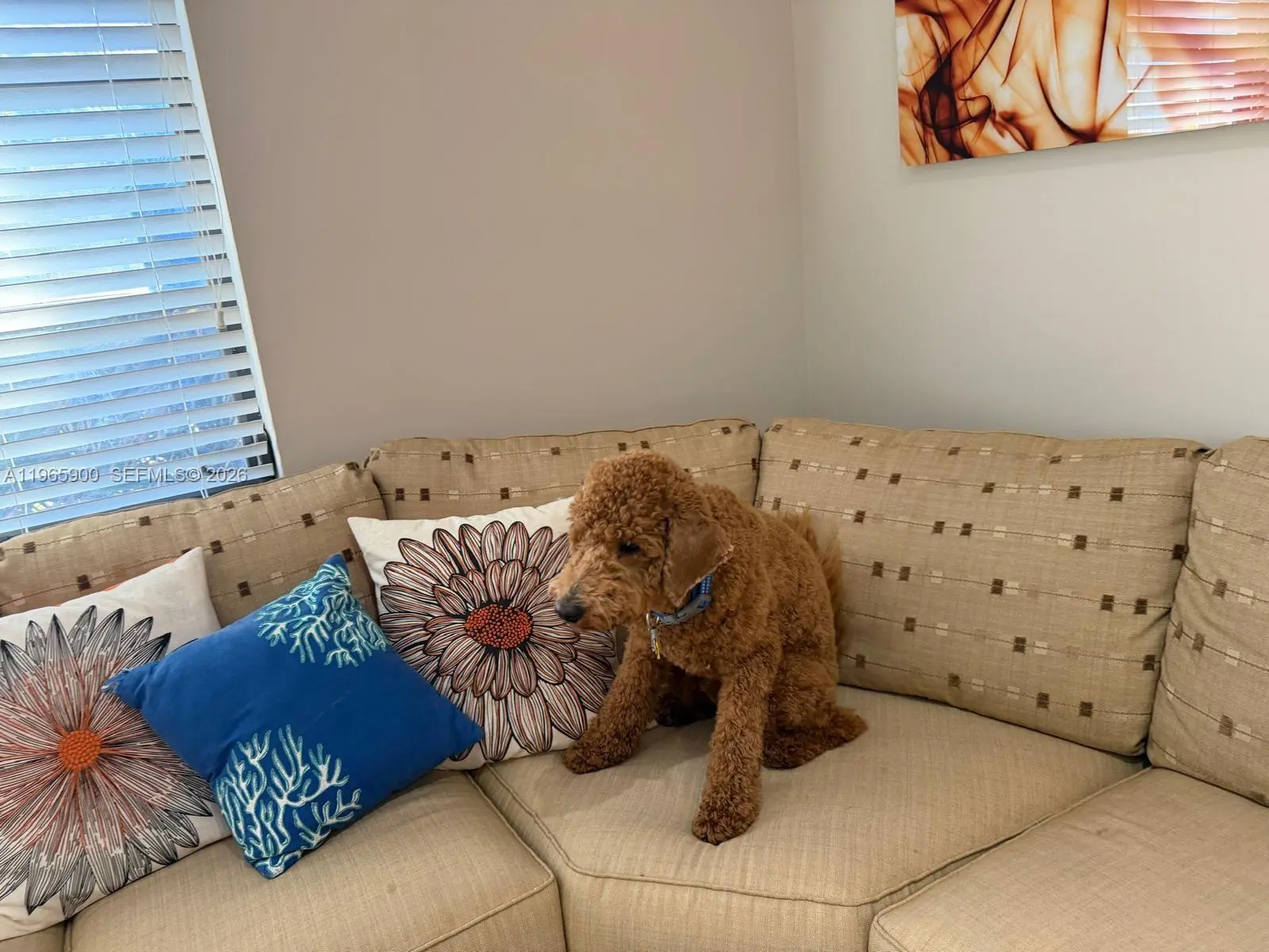 Photo of Listing #A11965900