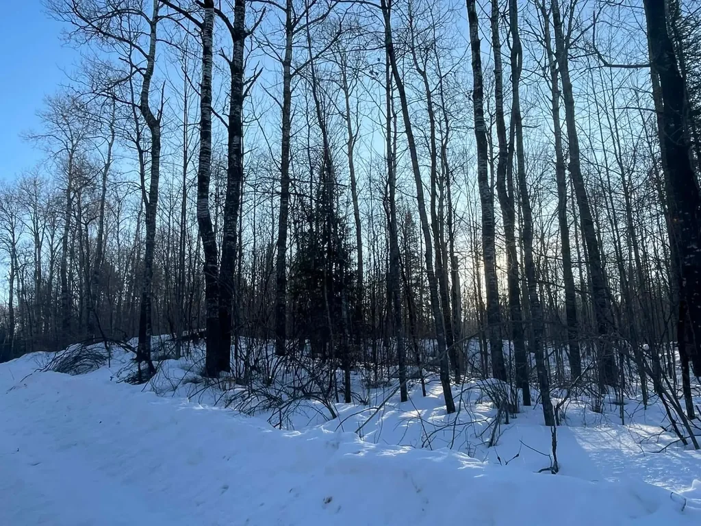 On Blockhouse Lake Rd, Park Falls