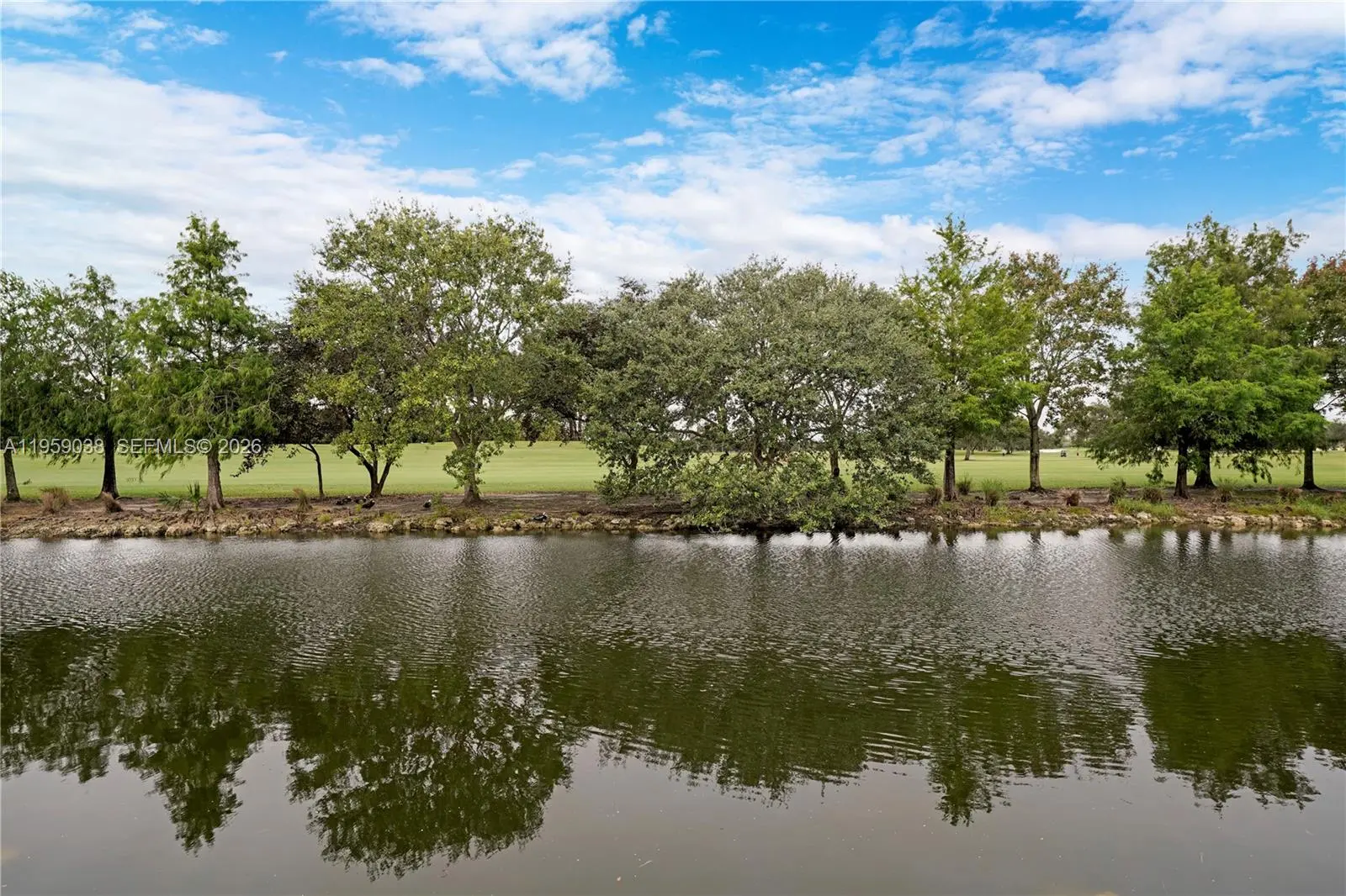 Photo of Listing #A11959038