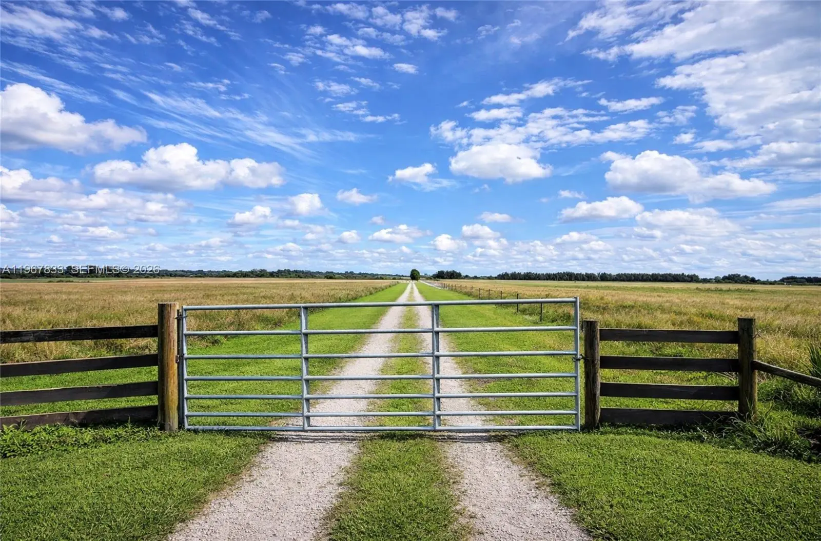 Photo of Listing #A11967833