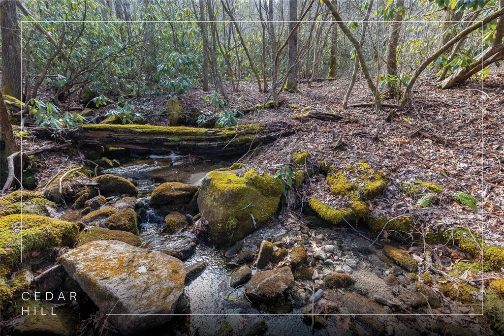 Lot 46 E Rochester Drive, Cashiers