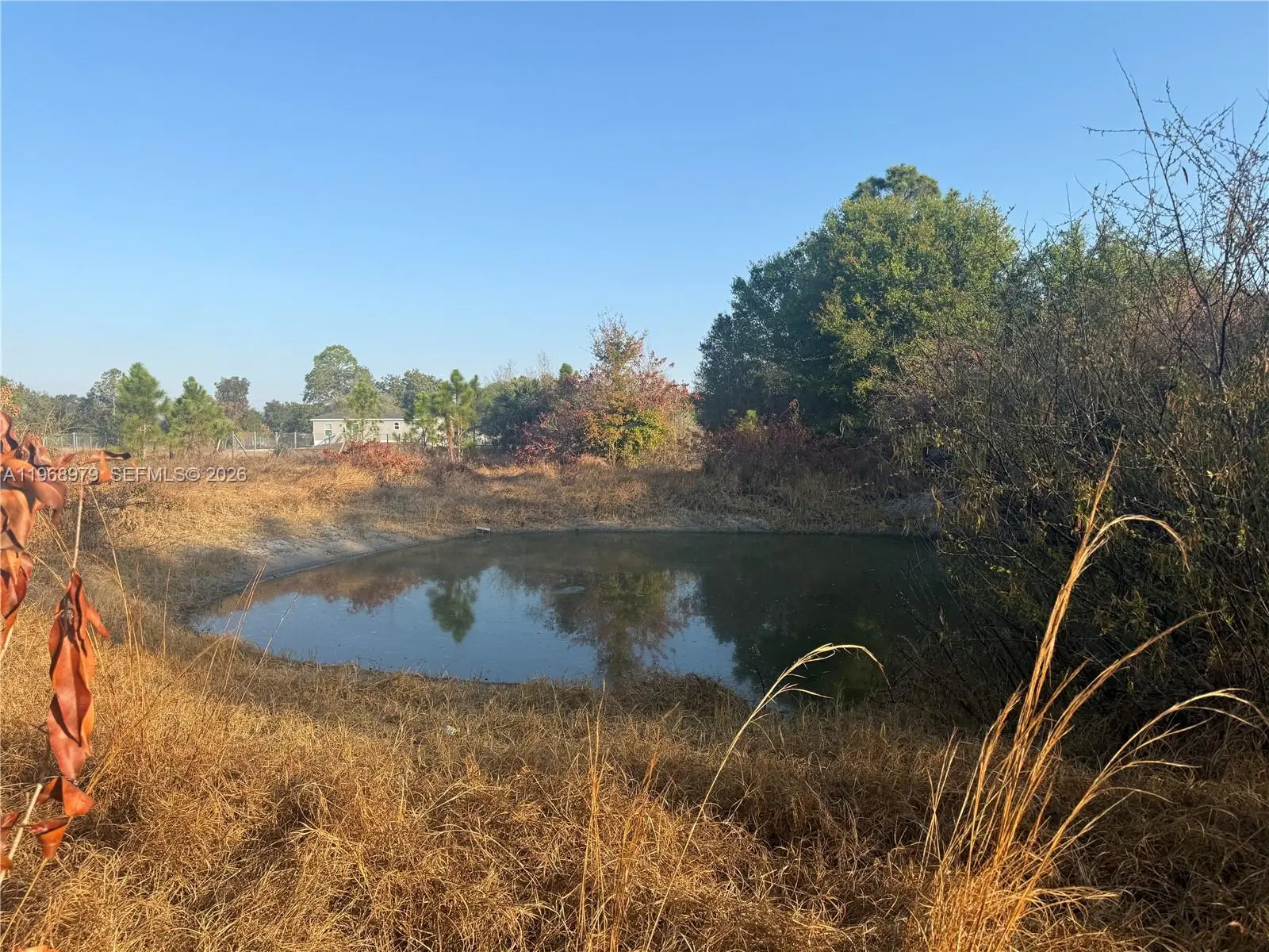 Photo of Listing #A11968979