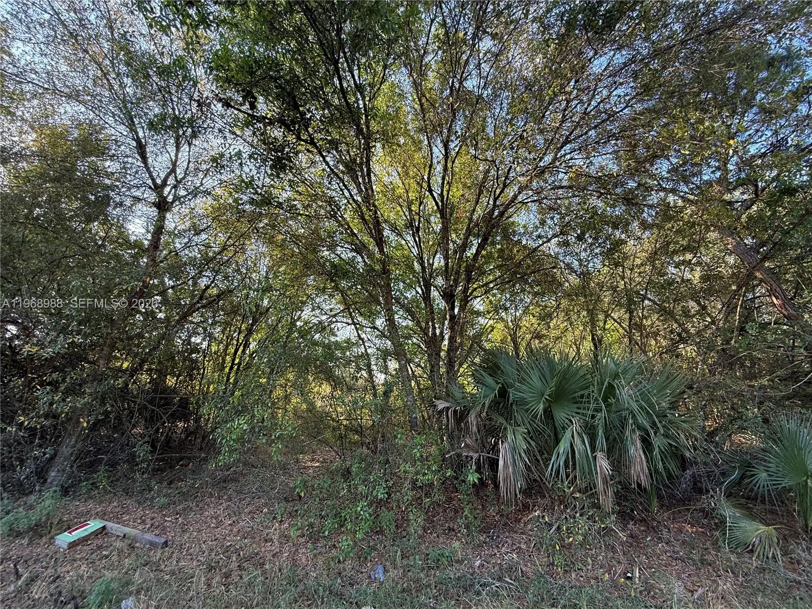 Photo of Listing #A11968988