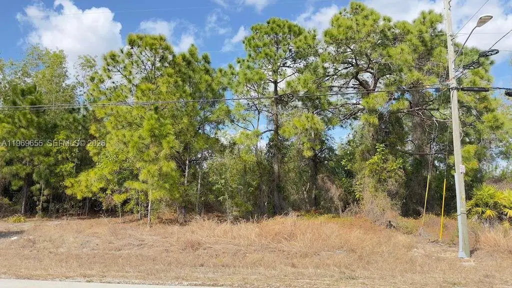 Photo of Listing #A11969655