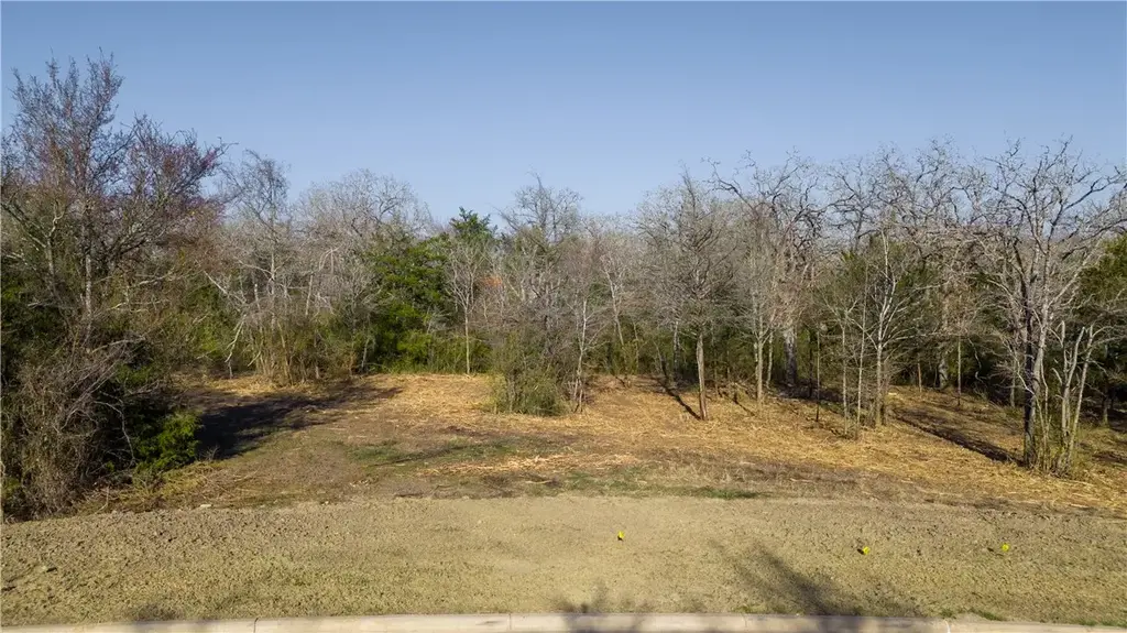 3325 Stephans Crossing, Bryan