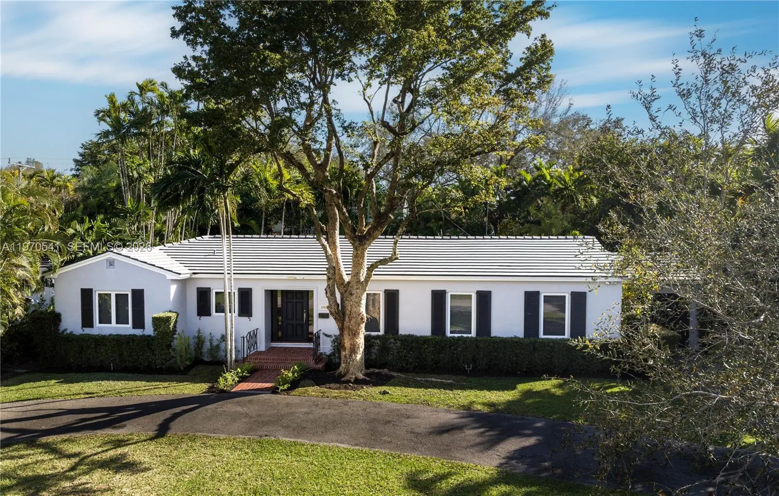 Photo of Listing #A11970541